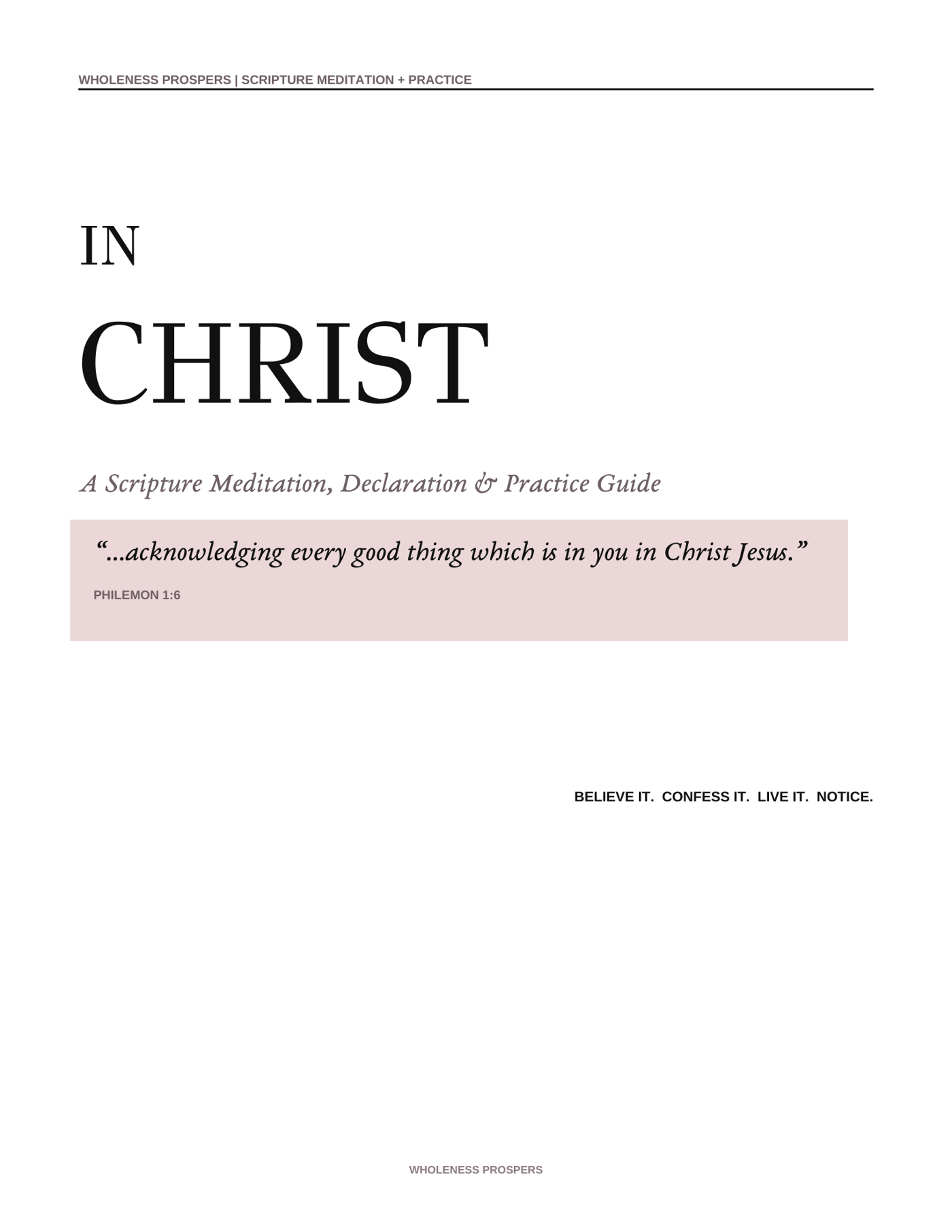 In Christ Scripture Meditation Declaration and Practice Guide